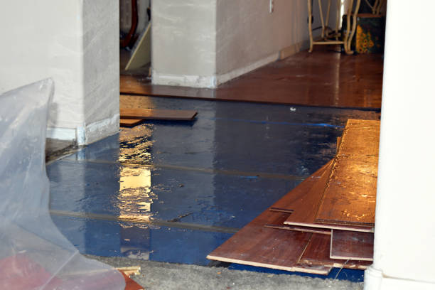 Professional Water Extraction technician working in White Deer, TX
